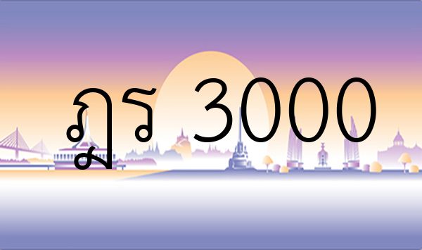 ฎร 3000